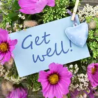 Send Get Well Gifts to San Strasbourg, France